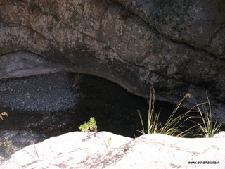 ldaia del Drago19-07-2015 11-26-52